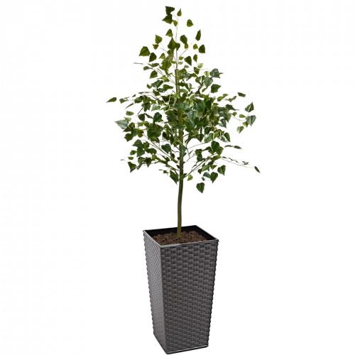 Artificial Spring Birch Tree  | Evergreen Direct