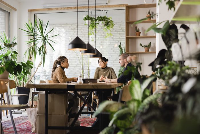 Office Artificial Plants 