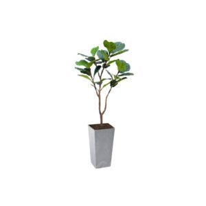 Artificial UV Fiddle Leaf Fig Tree at Evergreen Direct