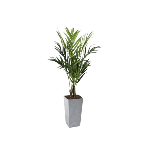 #1 for Artificial Kentia Palm Trees | Evergreen Direct