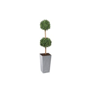 Deluxe Double Boxwood Ball Topiary Tree From Evergreen Direct