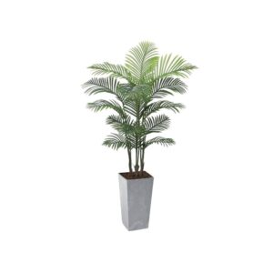 #1 for Artificial Areca Palm Trees | Evergreen Direct