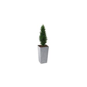 Artificial Buxus Shrub | Evergreen Direct