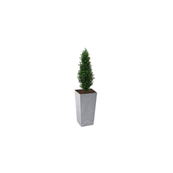 Artificial Buxus Shrub | Evergreen Direct