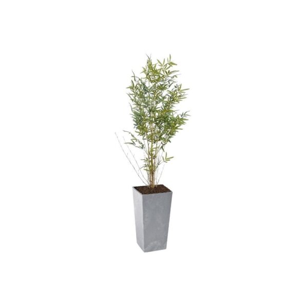 Artificial Real Stem Bamboo Tree | Evergreen Direct