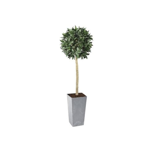 Artificial Bay Laurel Ball Tree | Evergreen Direct