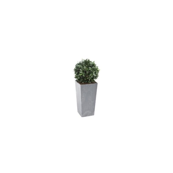 Artificial Bay Laurel Ball Tree Topiary | Evergreen Direct