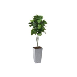 Artificial Large Fiddle Leaf Tree 160cm | Evergreen Direct