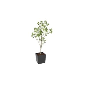 Artificial Bay Laurel Ball Tree | Evergreen Direct