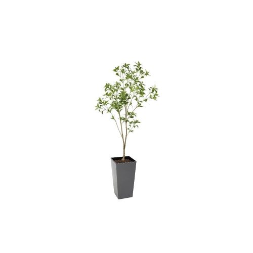 Artificial Bay Laurel Ball Tree | Evergreen Direct