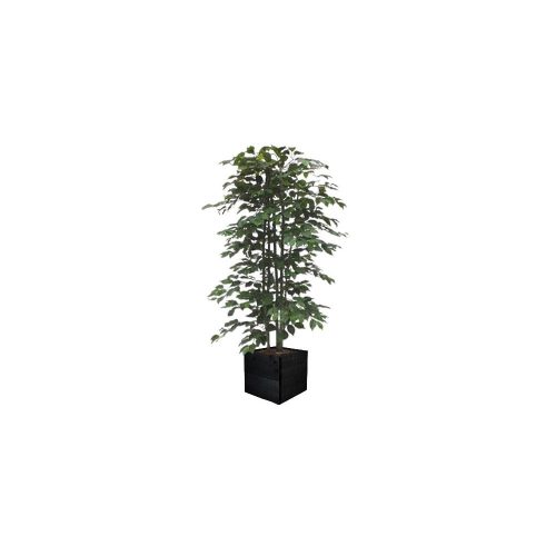 #1 for Artificial Green Ficus Trees | Evergreen Direct