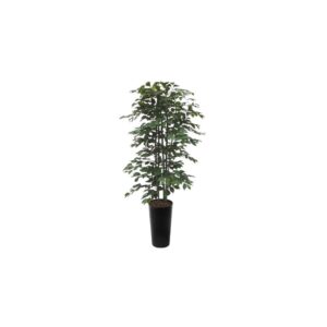 #1 for Artificial Green Ficus Trees | Evergreen Direct