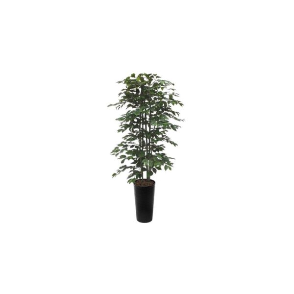 #1 for Artificial Green Ficus Trees | Evergreen Direct