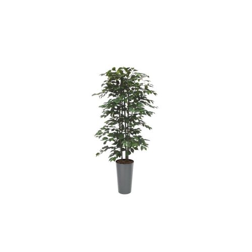 #1 for Artificial Green Ficus Trees | Evergreen Direct