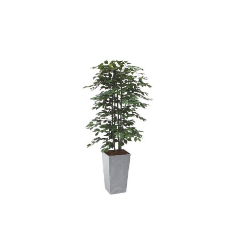 #1 for Artificial Green Ficus Trees | Evergreen Direct