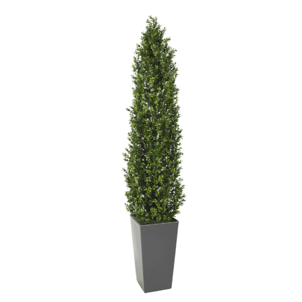 Artifcial Buxus Shrub With Stem 150cm  | Evergreen Direct