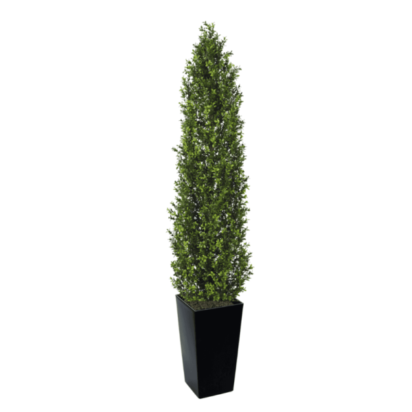 Artifcial Buxus Shrub With Stem 150cm  | Evergreen Direct