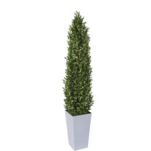 Artifcial Buxus Shrub With Stem 150cm  | Evergreen Direct