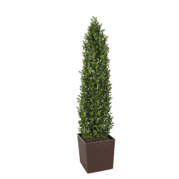 Artifcial Buxus Shrub With Stem 150cm  | Evergreen Direct