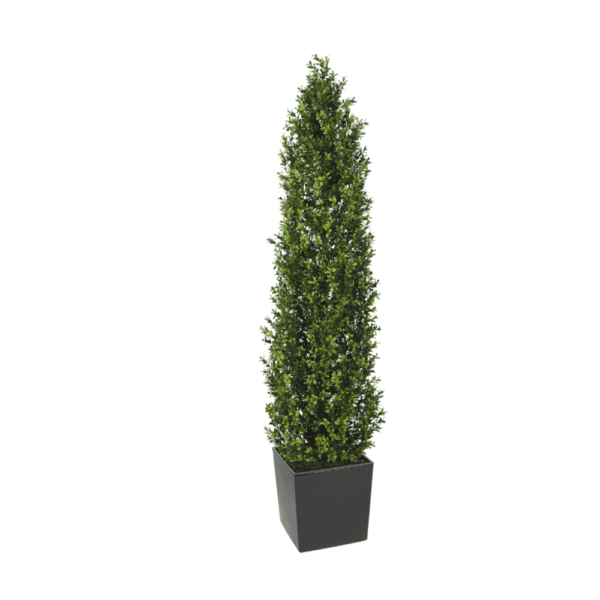 Artifcial Buxus Shrub With Stem 150cm  | Evergreen Direct