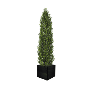 Artifcial Buxus Shrub With Stem 150cm  | Evergreen Direct