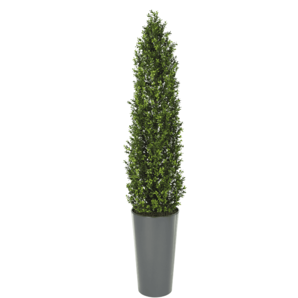 Artifcial Buxus Shrub With Stem 150cm  | Evergreen Direct