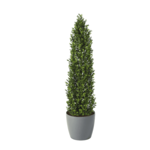 Artifcial Buxus Shrub With Stem 150cm  | Evergreen Direct