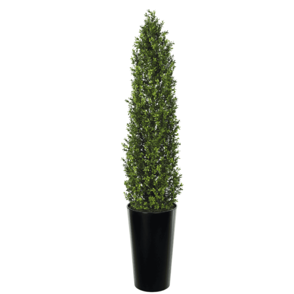 Artifcial Buxus Shrub With Stem 150cm  | Evergreen Direct