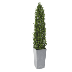 Artifcial Buxus Shrub With Stem 150cm  | Evergreen Direct