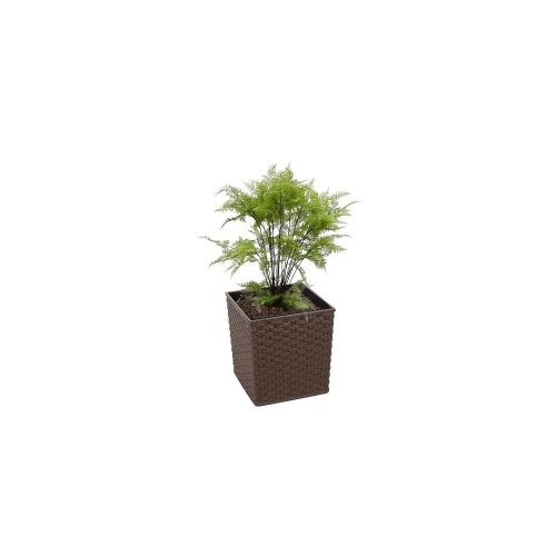 Artificial Decorative Fern Tree From Evergreen Direct