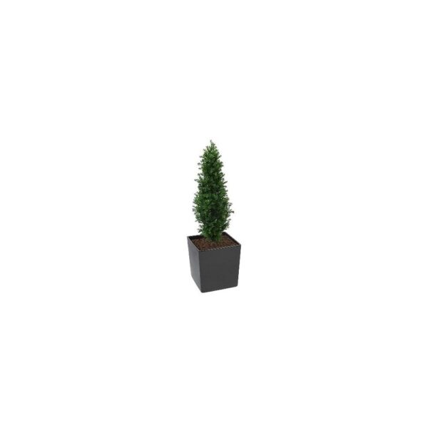 Artificial Buxus Shrub | Evergreen Direct