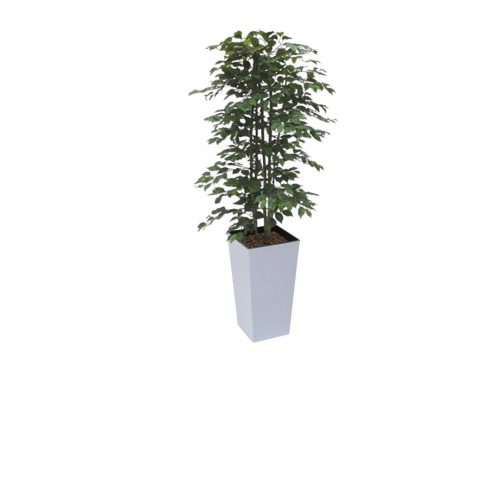 #1 for Artificial Green Ficus Trees | Evergreen Direct