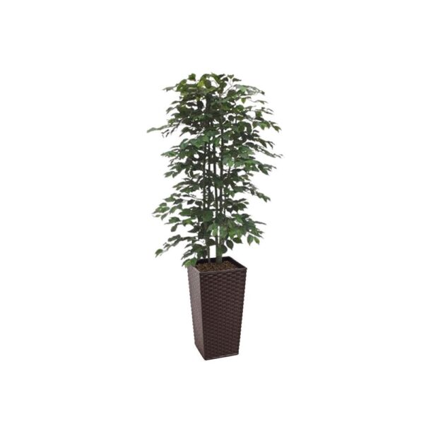 #1 for Artificial Green Ficus Trees | Evergreen Direct