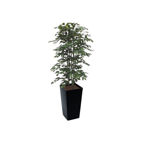 #1 for Artificial Green Ficus Trees | Evergreen Direct