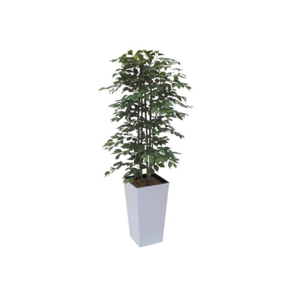 #1 for Artificial Green Ficus Trees | Evergreen Direct