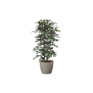 #1 for Artificial Green Ficus Trees | Evergreen Direct