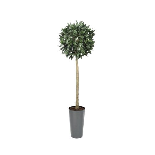 Artificial Bay Laurel Ball Tree | Evergreen Direct