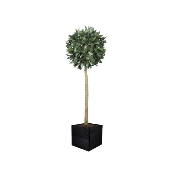 Artificial Bay Laurel Ball Tree | Evergreen Direct