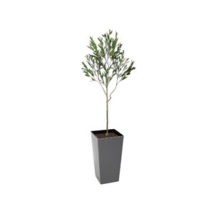 Artificial UV Outdoor Olive Tree | Evergreen Direct