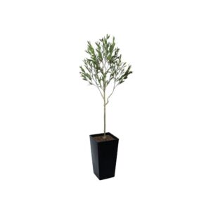 Artificial UV Outdoor Olive Tree | Evergreen Direct