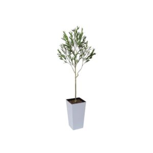 Artificial UV Outdoor Olive Tree | Evergreen Direct