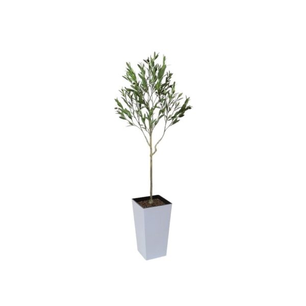 Artificial UV Outdoor Olive Tree | Evergreen Direct