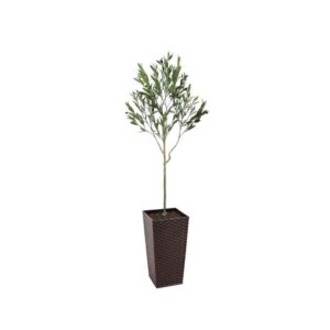 Artificial UV Outdoor Olive Tree | Evergreen Direct