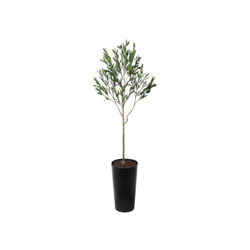 Artificial UV Outdoor Olive Tree | Evergreen Direct