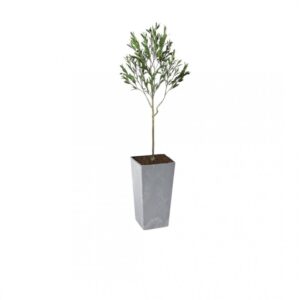 Artificial UV Outdoor Olive Tree | Evergreen Direct