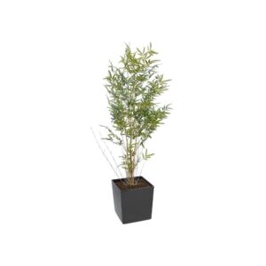 Artificial Real Stem Bamboo Tree | Evergreen Direct