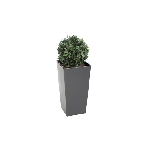 Artificial Bay Laurel Ball Tree Topiary | Evergreen Direct