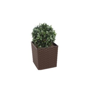 Artificial Bay Laurel Ball Tree Topiary | Evergreen Direct