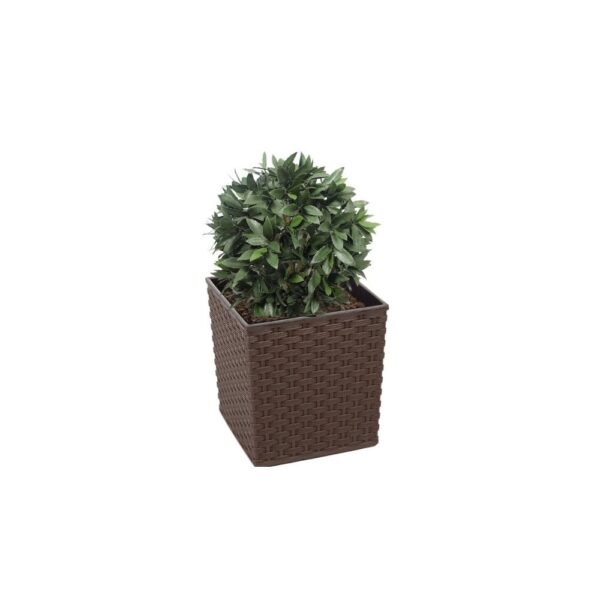 Artificial Bay Laurel Ball Tree Topiary | Evergreen Direct