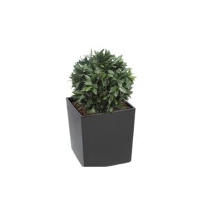 Artificial Bay Laurel Ball Tree Topiary | Evergreen Direct